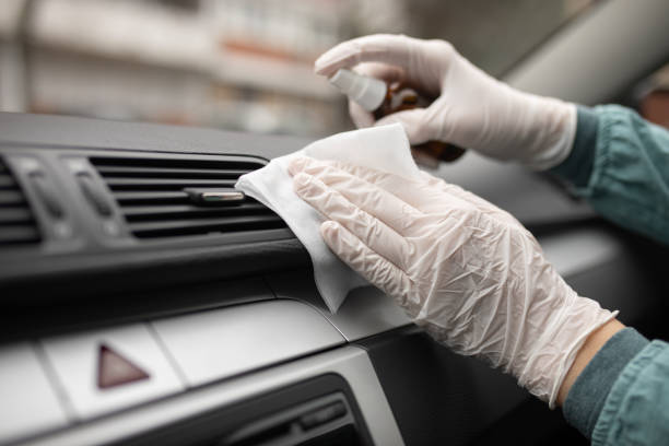 Best Professional Duct Cleaning Services  in Rose, LA