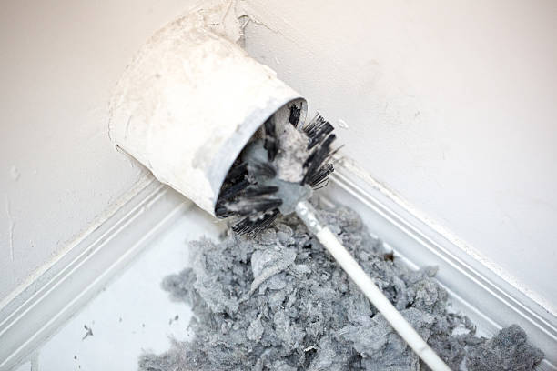 Best Air Duct Cleaning Near Me  in Rose, LA